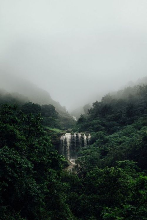 jungle aesthetic | Tumblr