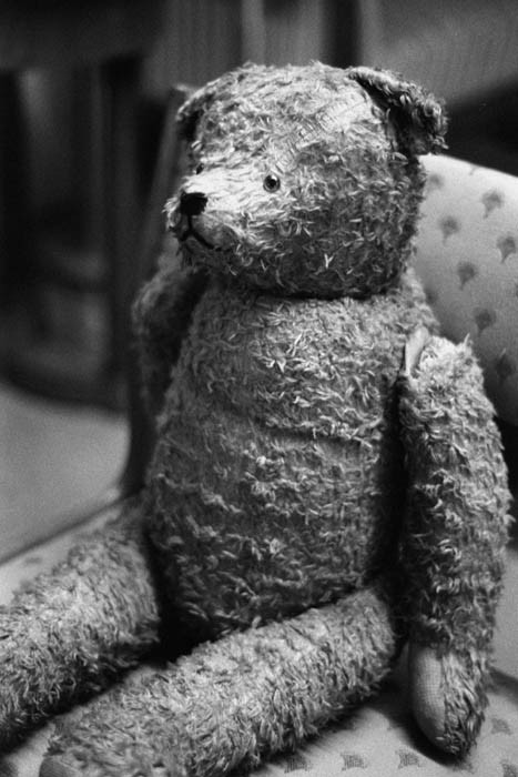 teddy bear 400 rupees