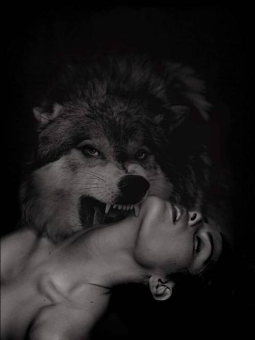 wolf-in-search-of-velvet:The Wolf is hungry