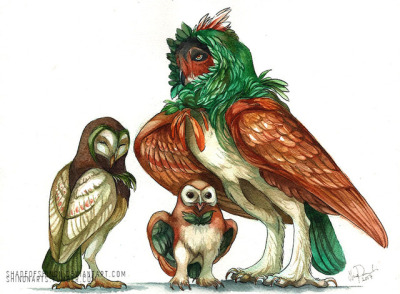 Realistic Dartrix Tumblr