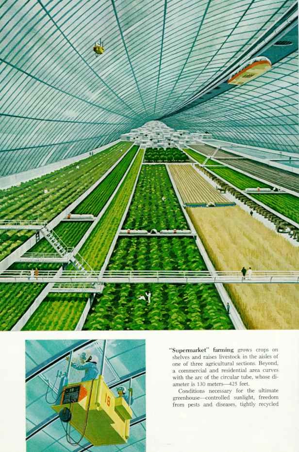 Building Utopia Pt 3: Harmony Between Humanity, Technology, and Nature –  Solarpunk Magazine