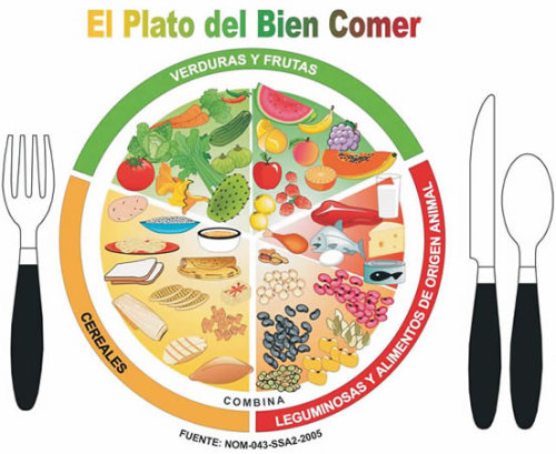 El Buen Comer En El Plato Del Buen Comer Se Divide El Plato En 3