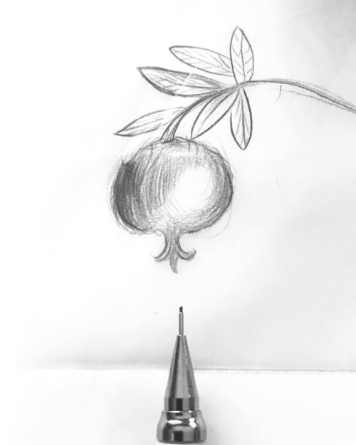 #pomegranate ❤️ #sketch (Dilara Yarcı Art...