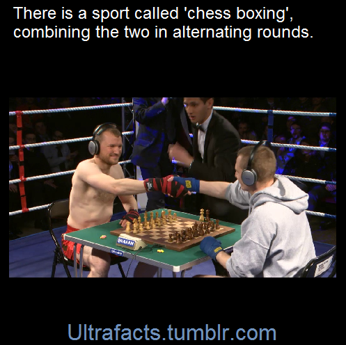 ultrafacts:Chess boxing is a hybrid fighting sport that...