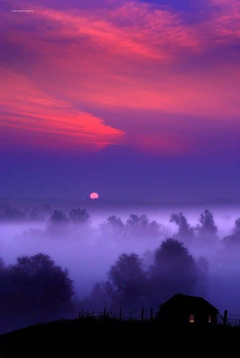 coiour-my-world:A misty twilight