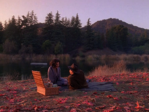 love:Twin Peaks (1990-1991)