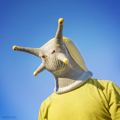 bowelflies:archiemcphee:Our new Banana Slug Mask is here...