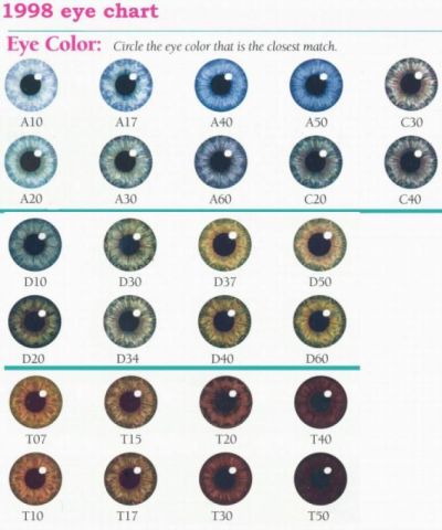 Hazel Eye Color Chart