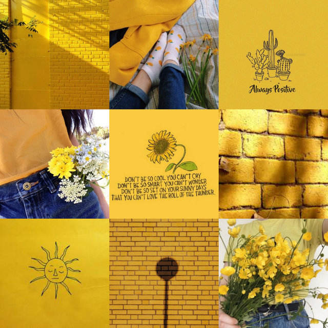 words & pictures - sun sign moodboards; taurus As a Taurus, you’re...