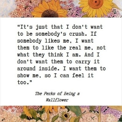 Image result for the perks of being a wallflower