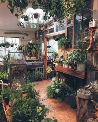 Patio with skylight and endless plants. [770 x 960]