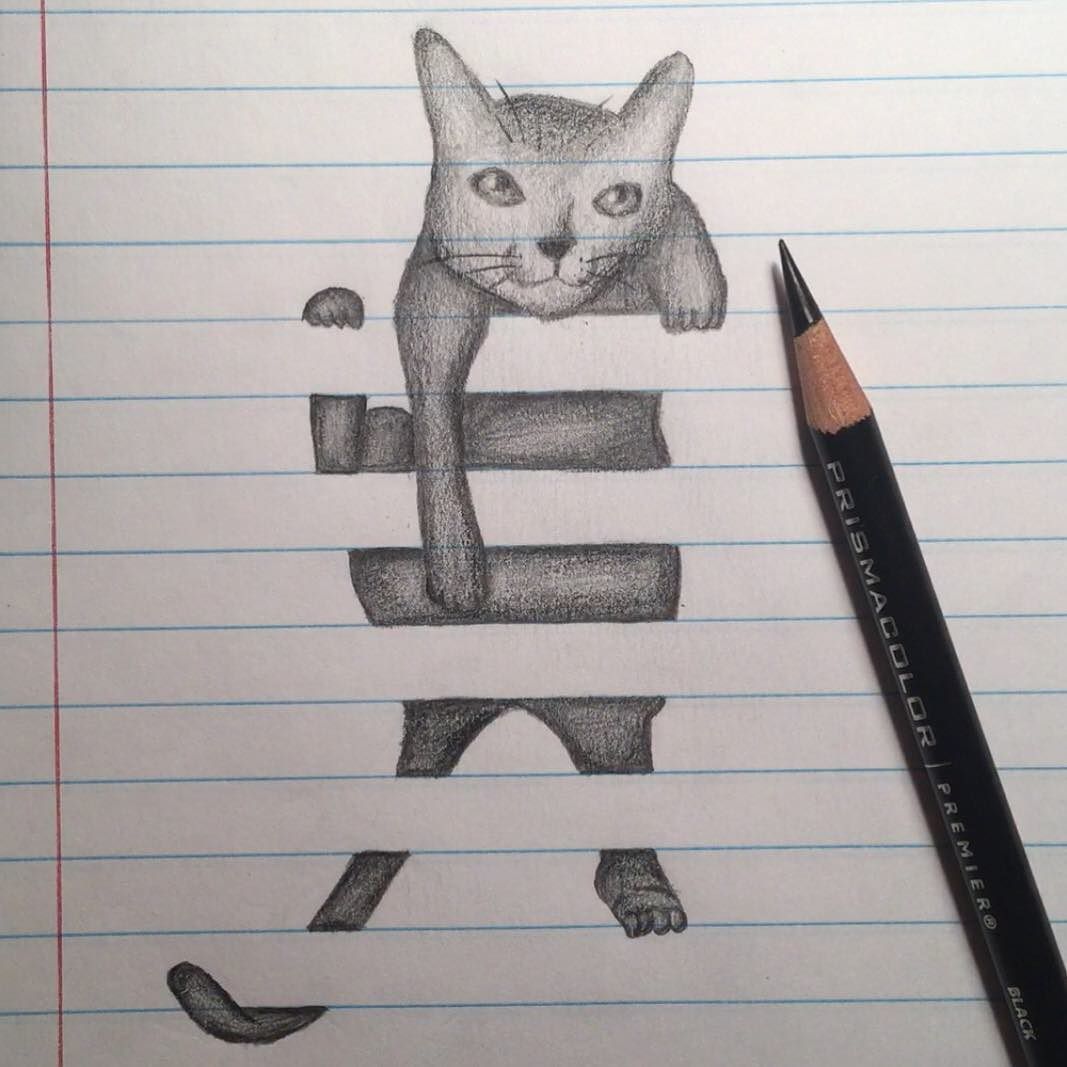 Overt Optical Illusions — Pretty weird looking 😂😁 I drew a cat with a ...