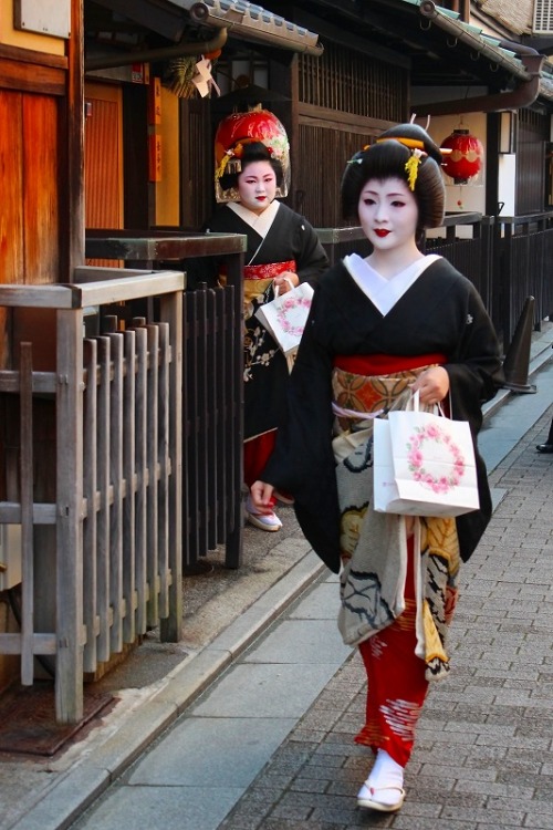 Mamechika and Mameharu (via 花街の始業式 - 季節の移ろいを写真に撮って行きたいと思っています - Yahoo!ジオシティーズ)