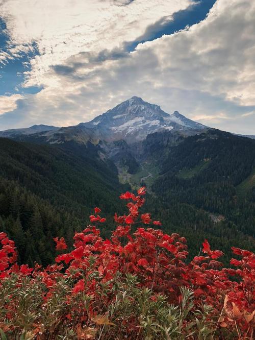 amazinglybeautifulphotography:Red, Green, and Blue - Mt. Hood,...