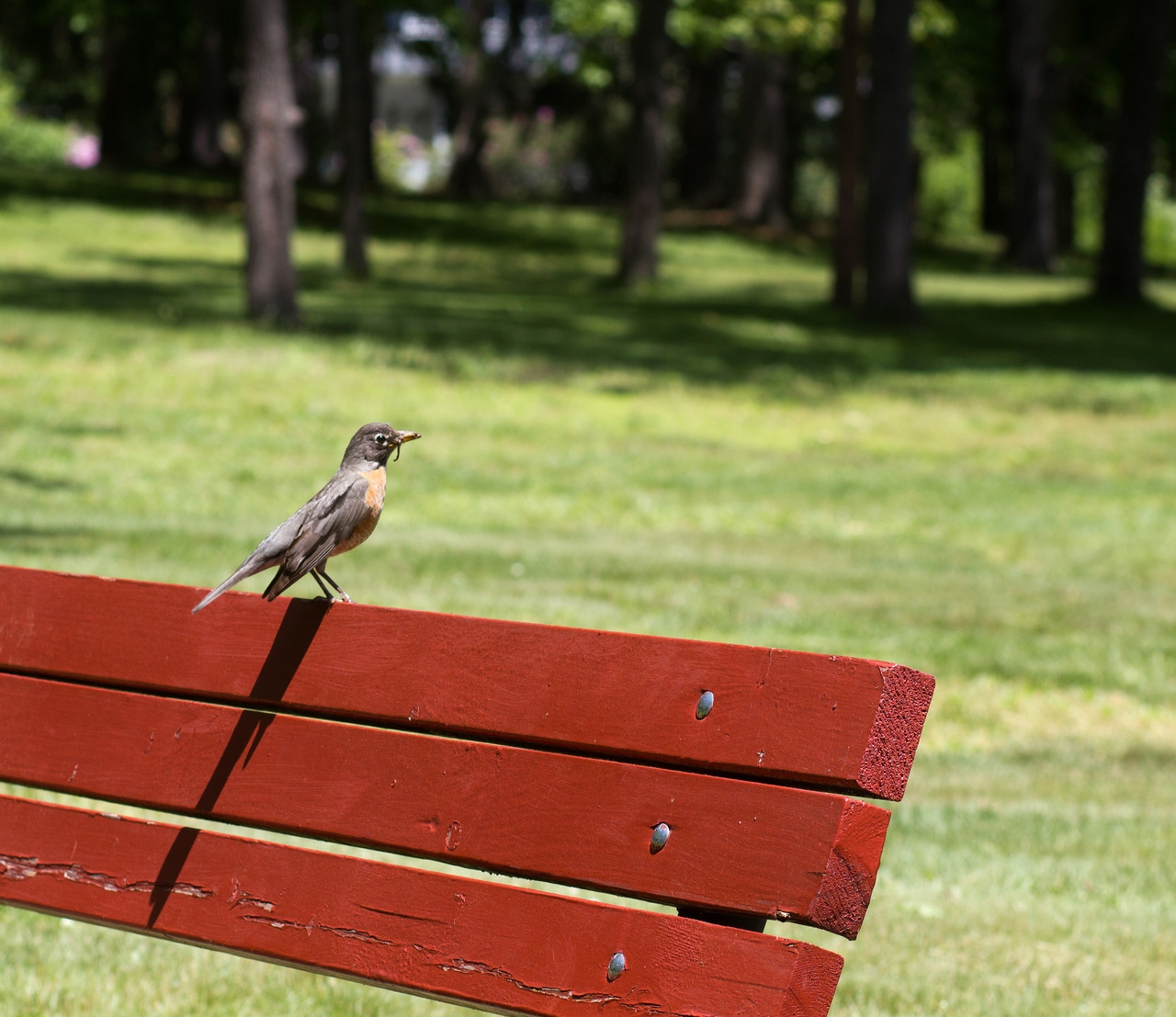 Childs Park Tumblr Posts Tumbral Com