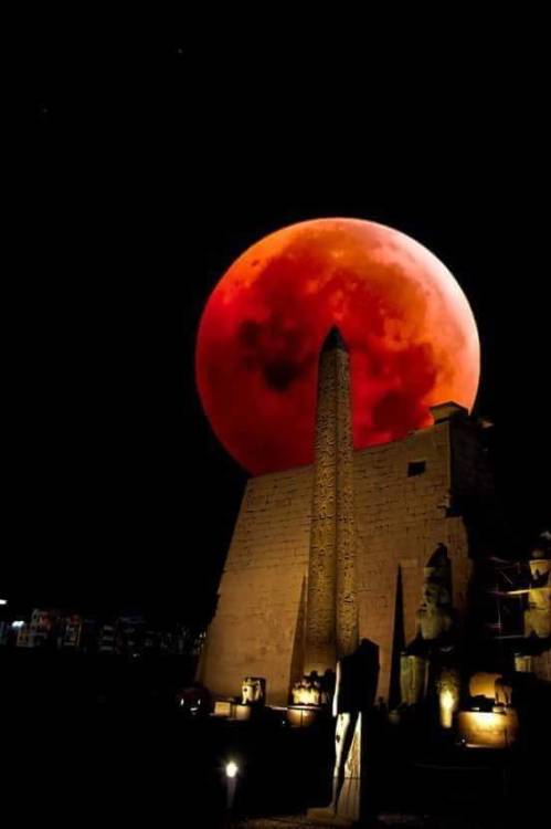 astralninja:Lunar Eclipse over Egypt 2018Credit for photos goes...