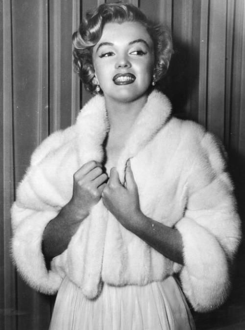 marilyn-monroe-collection:Marilyn Monroe photographed in 1952.