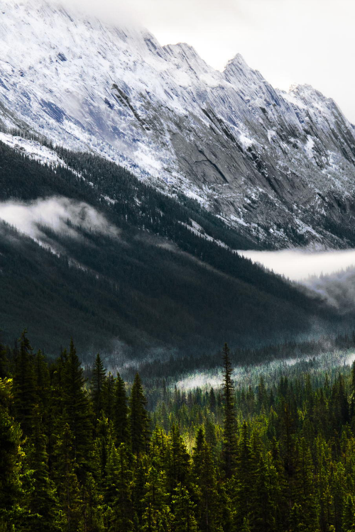 expressions-of-nature:Flow | Jasper National Park | Panda...