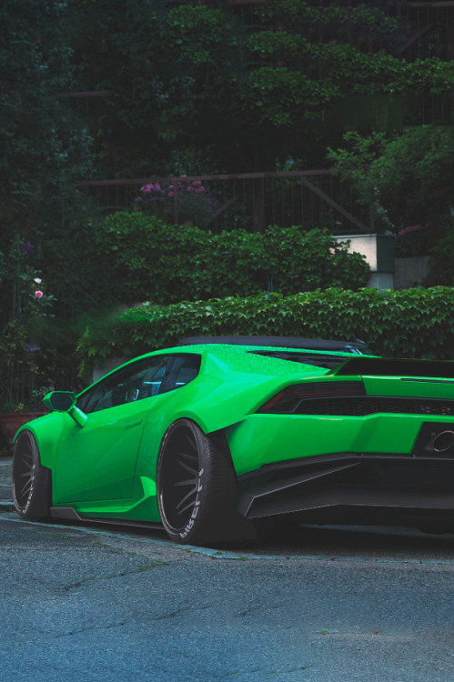 avenuesofinspiration:Mantis Huracan | Source © | AOI