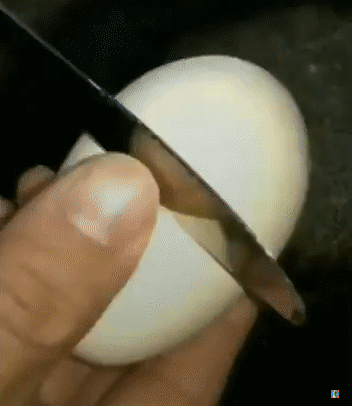 El huevo definitivo