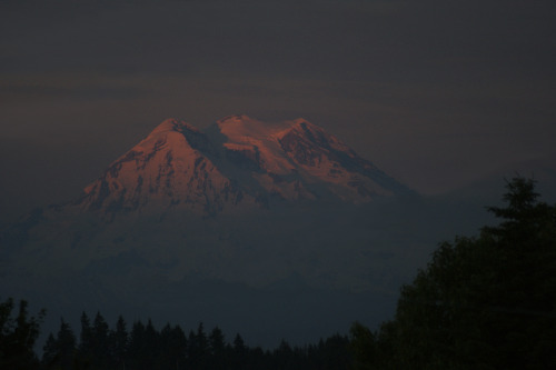 frommylimitedtravels:Mt. Rainier from my front yard!