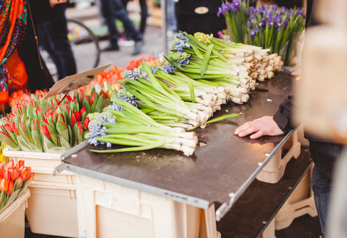 floralls:Columbia Road Flowers (by Carrie...