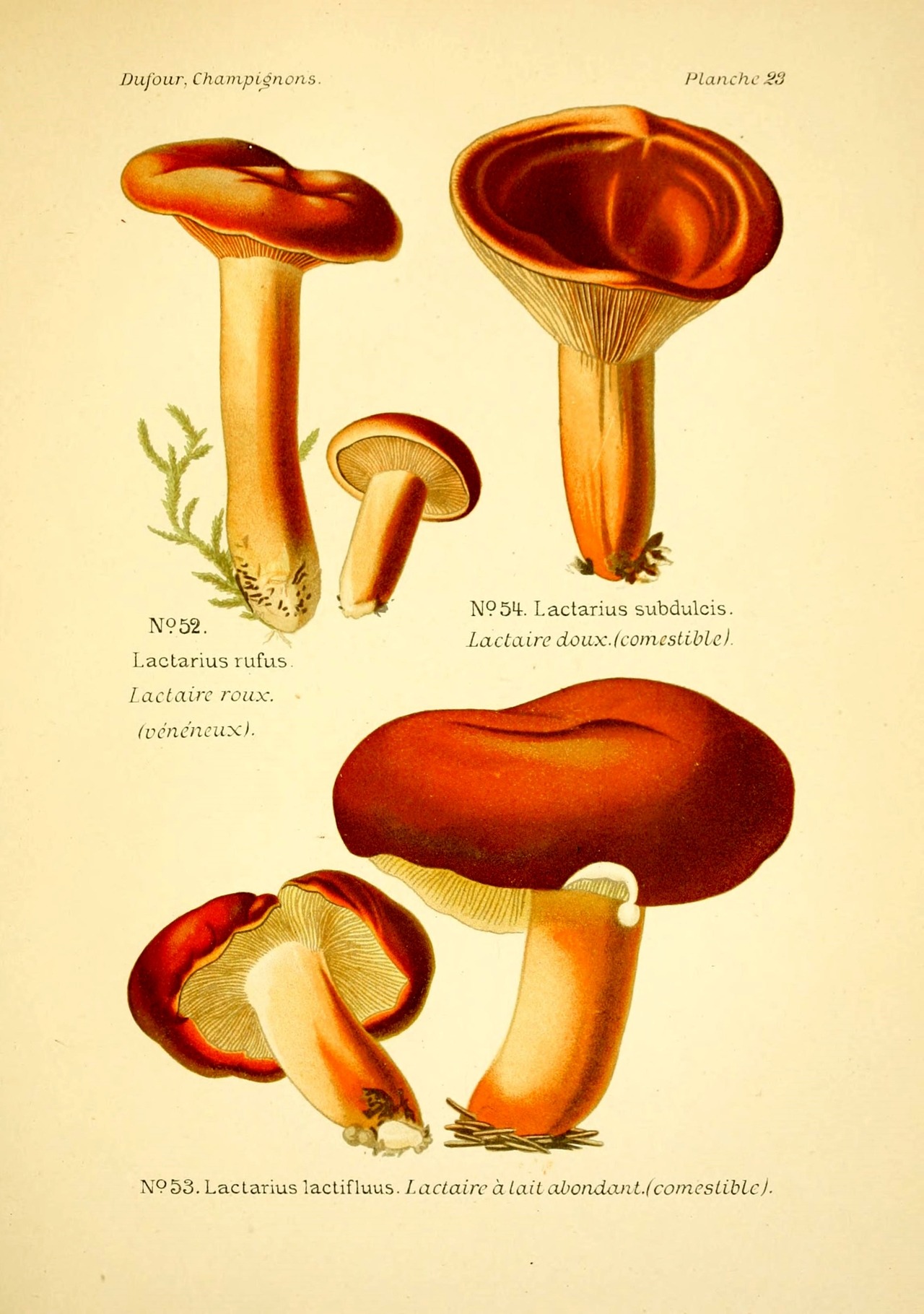 The Slower You Go The Bigger Your World Gets Atlas Of Edible And