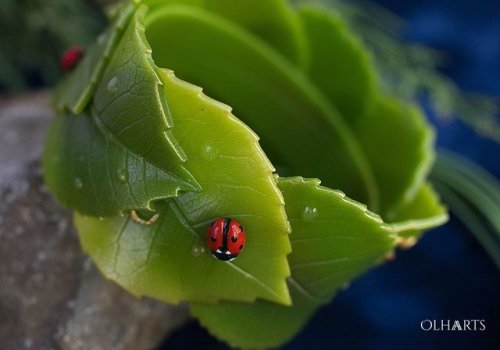 sosuperawesome:Leaf JewelryOlha Arts on EtsySee our #Etsy...