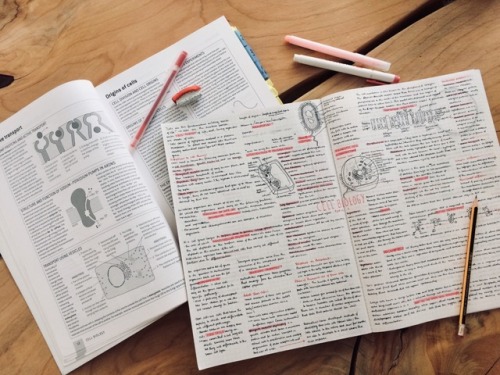 myattemptatbeingastudyblr:Biology revision for end of year...