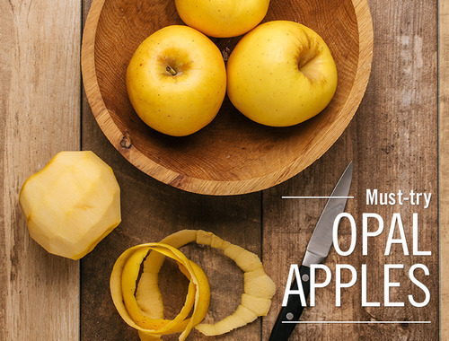 Opal apples can't be compared to an everyday apple. From their