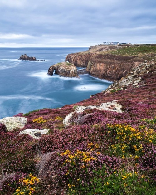 apjenkin:Hello Autumn. Autumn is here and the heather and gorse...