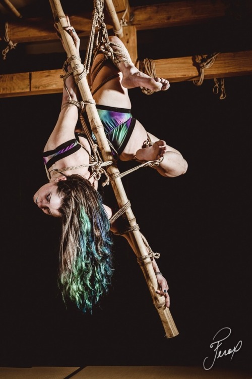 riggerodys:NOVA Nawa 2/8: Bamboo float in space with...