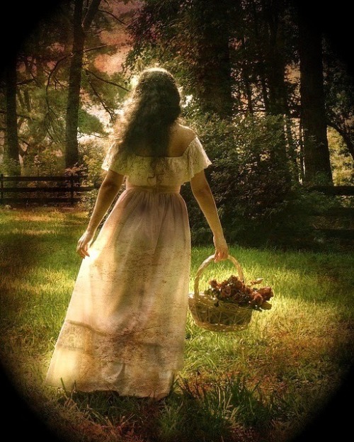 whatsoeverislovelyandpure