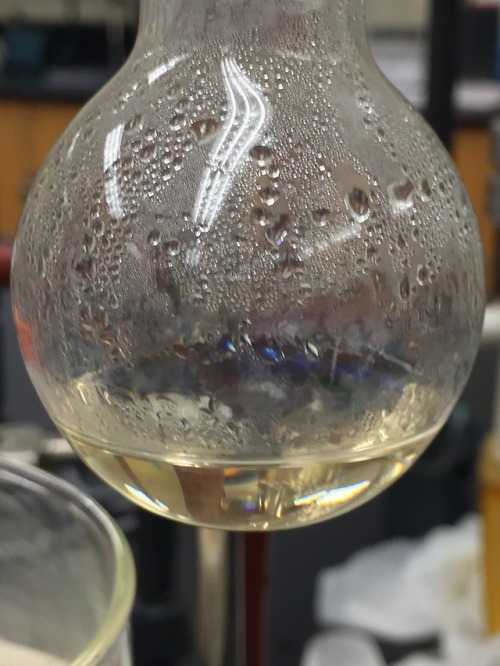 mindblowingscience:shychemist:I did some Organic Chemistry...