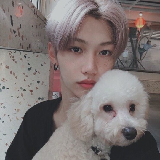 felix_navidad / precious baby ; you're slowly earning a soft spot. thank you for being there for me and listening to me. i hope i can be a force of comfort for you as well ♥