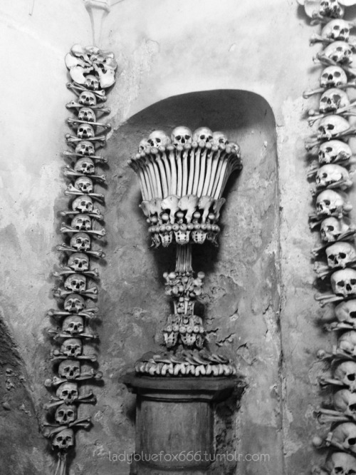 ladybluefox666:The Sedlec Ossuary, Kutna Hora, Czech.And...