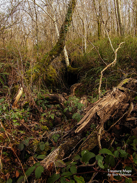 thefierybiscuit:Lair of the forest troll, Coed Cae Fali