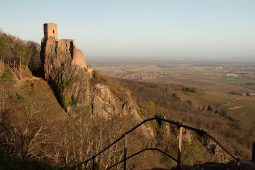 asiwaswalkingallalone:Girsberg ou Petit-Ribeaupierre by...