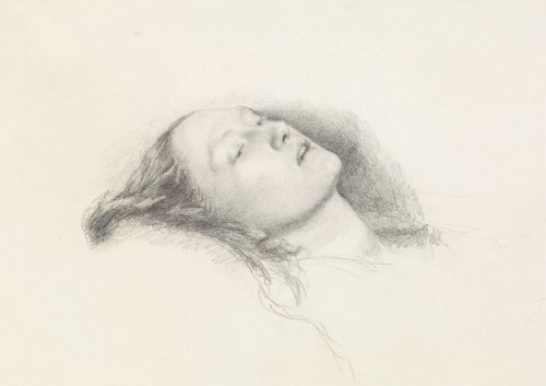 silenceformysoul: John Everett Millais -  Study for Ophelia