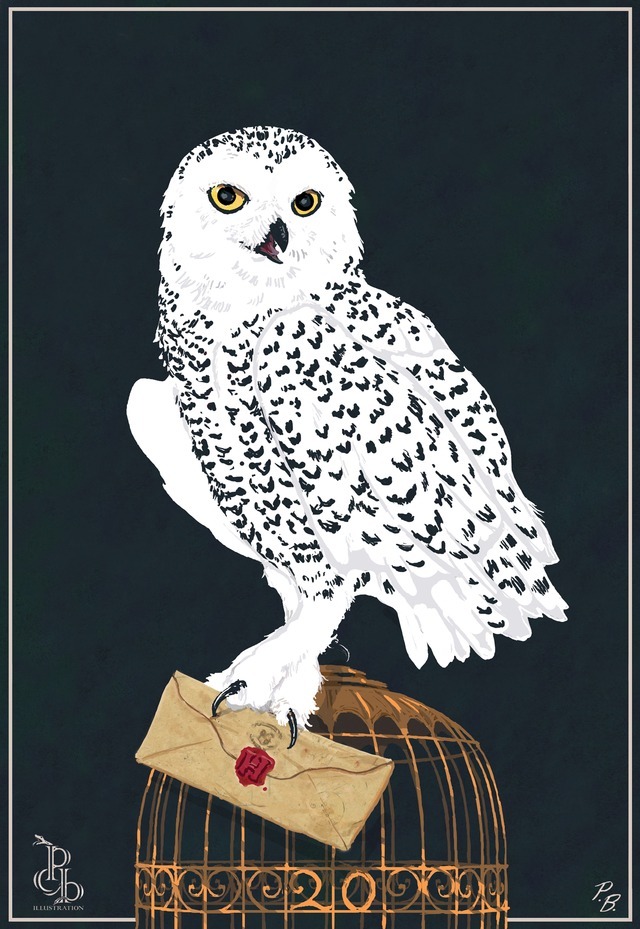 Paul Brough — Hedwig- the loyal snowy owl pet of Harry Potter....