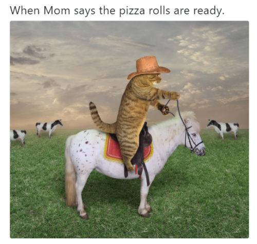 Image result for totinos pizza rolls memes