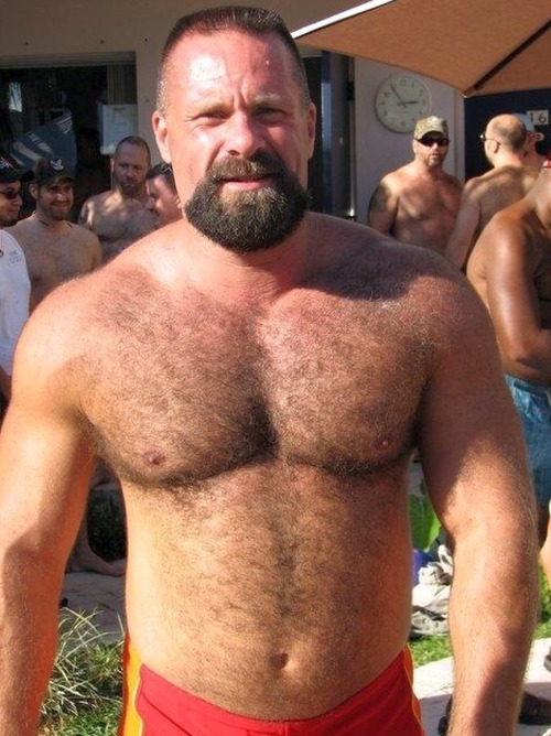 Bears, muscle and hairy fellas