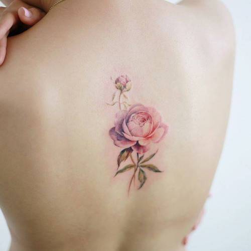 By Doy, done in Seoul. http://ttoo.co/p/34560 flower;small;back;tiny;rose;ifttt;little;nature;doy;medium size;illustrative