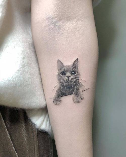 By Ray Samurai Tattoo, done at Samurai Tattoo, Shanghai.... small;pet;feline;single needle;animal;tiny;ifttt;little;inner forearm;ray;cat