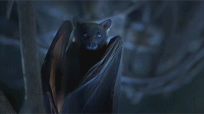Gothic Bat Fangs