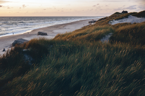 piavalesca:a house in the dunes