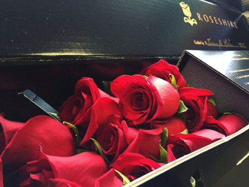 thesugarbabymermaid:$150 roses delivered weekly, $3k allowance...