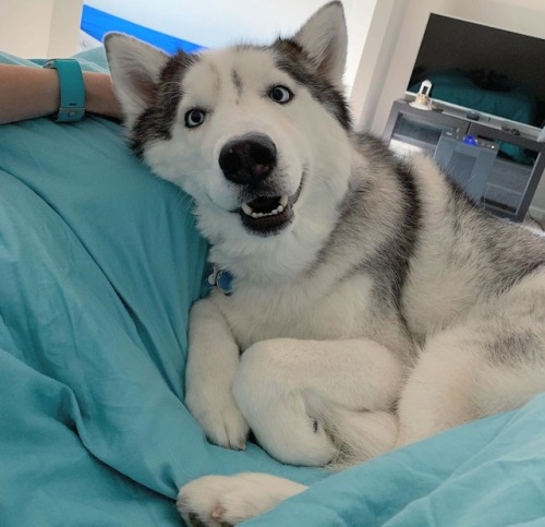 hitmewithcute
