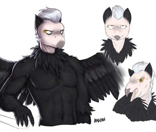 drbdnv:updated the birbsona’s design a bit