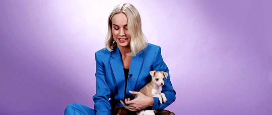 Brie Larson feliz jugando con cachorros